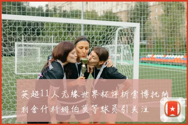 英超11人无缘世界杯评析索博托纳利舍什科姆伯莫等球员引关注