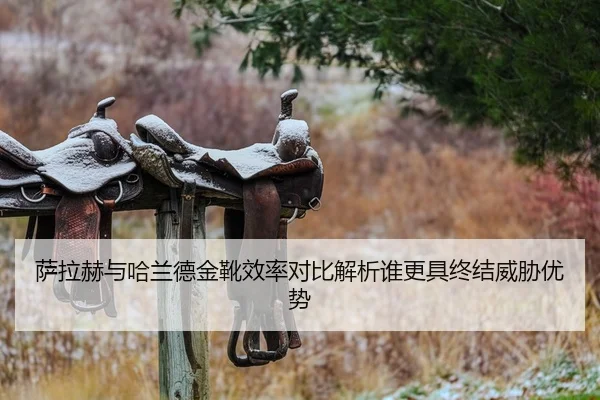 萨拉赫与哈兰德金靴效率对比解析谁更具终结威胁优势